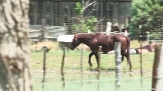 Total Exposure 2 Jimmy Durano, Sean Zevran