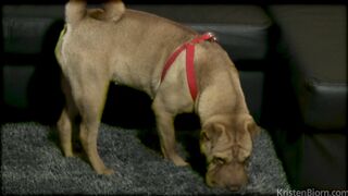 Follow Me (Viktor Rom & Louis Ricaute)