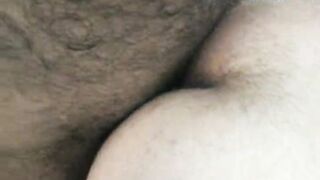 Orient-Bear 19 videos from Turkey