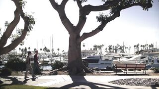 Beauties by the Bay 2017